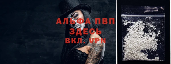 индика Гусь-Хрустальный