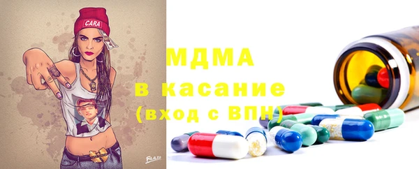 индика Гусь-Хрустальный