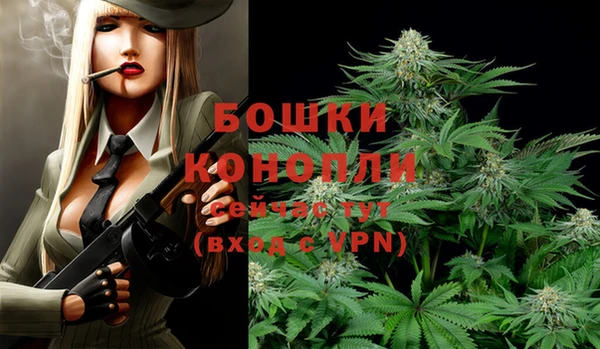 индика Гусь-Хрустальный