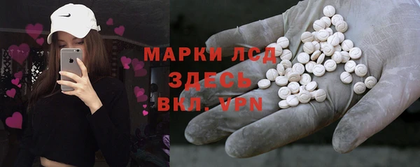 индика Гусь-Хрустальный