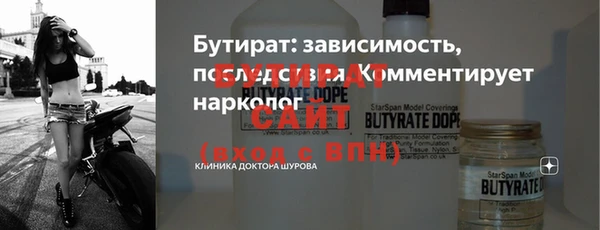 индика Гусь-Хрустальный