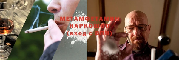 индика Гусь-Хрустальный