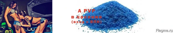 индика Гусь-Хрустальный