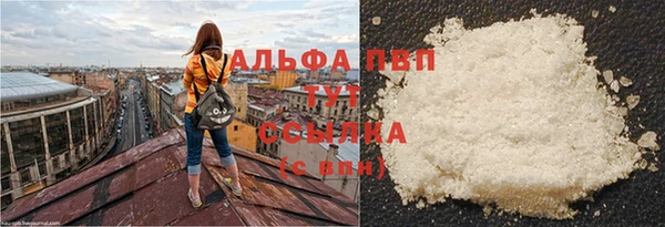 соль ск Гусев