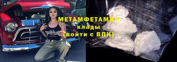 индика Гусь-Хрустальный