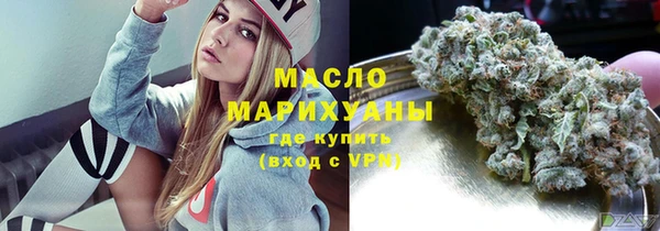 индика Гусь-Хрустальный