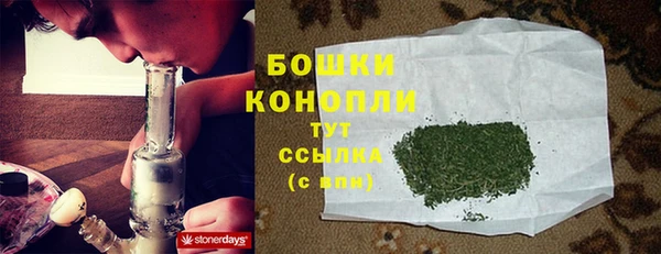 соль ск Гусев