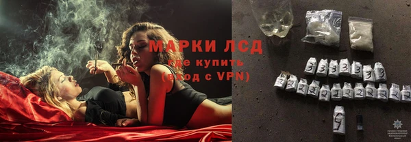 индика Гусь-Хрустальный