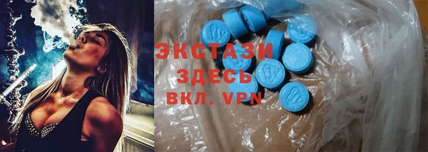 индика Гусь-Хрустальный