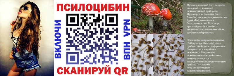 блэк спрут сайт  Западная Двина  Псилоцибиновые грибы MAGIC MUSHROOMS  наркотики 